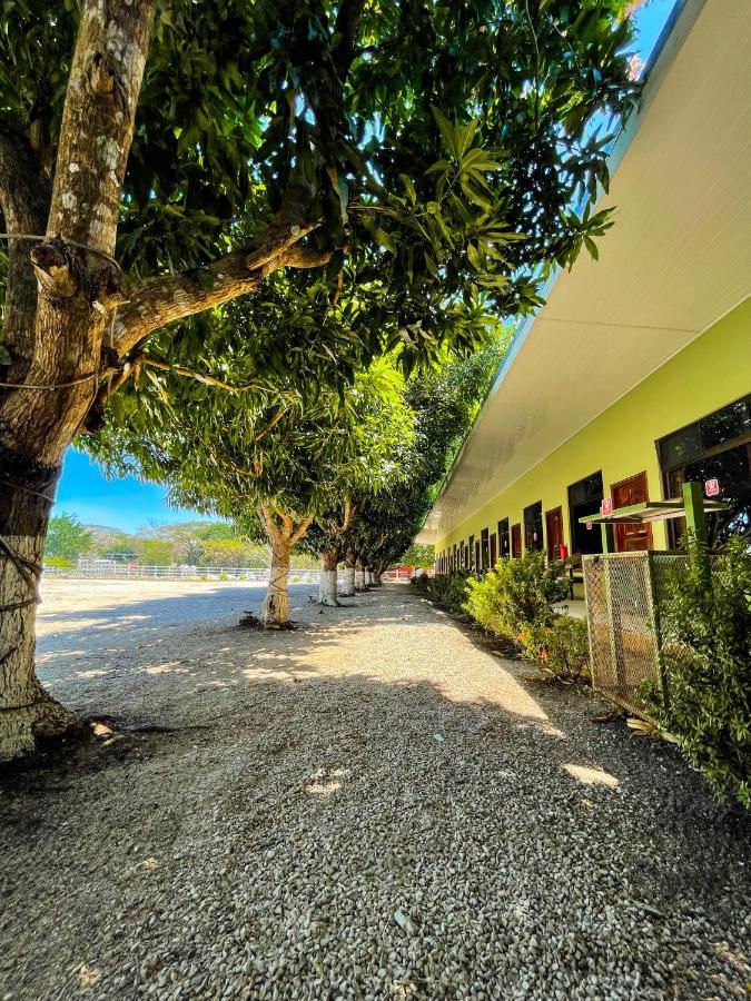 Hotel El Regalo Nicoya Bagian luar foto